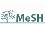 tn_mesh